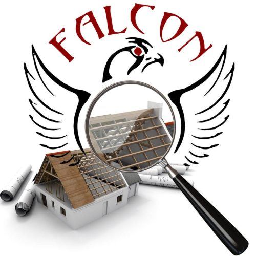 falcon-about-picture-1024x1024